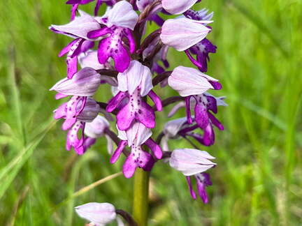 22-05-08 11-17-04 0767